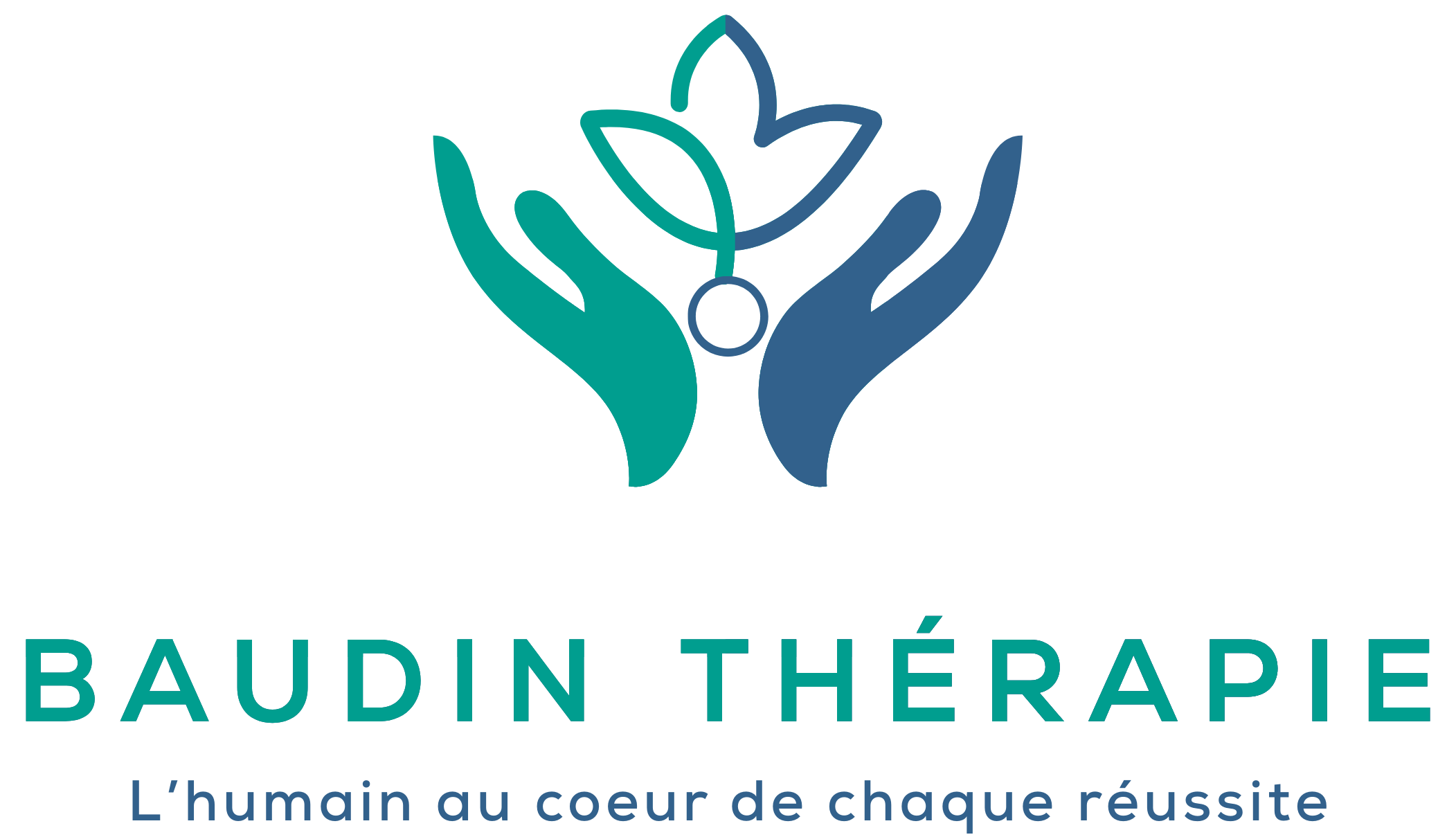 logo baudin thérapie global